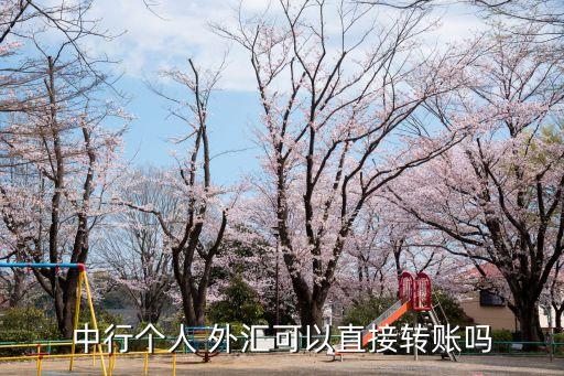 中國(guó)銀行外匯交易賬戶