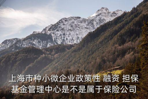 上海市種小微企業(yè)政策性 融資 擔(dān)?；鸸芾碇行氖遣皇菍儆诒ｋU(xiǎn)公司