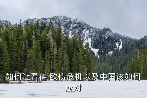 如何讓看待 歐債危機(jī)以及中國該如何應(yīng)對(duì)