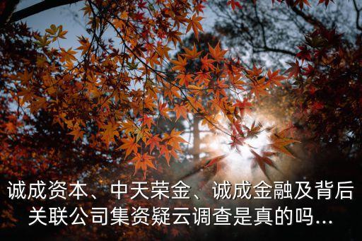 誠成資本、中天榮金、誠成金融及背后關聯(lián)公司集資疑云調(diào)查是真的嗎...