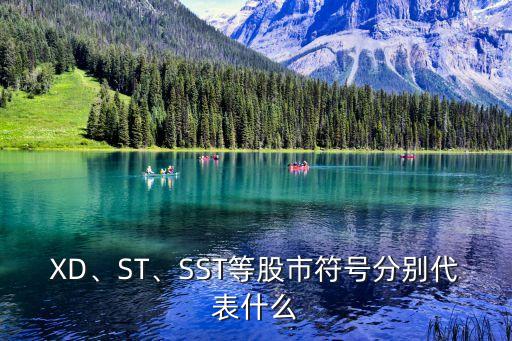 XD、ST、SST等股市符號分別代表什么