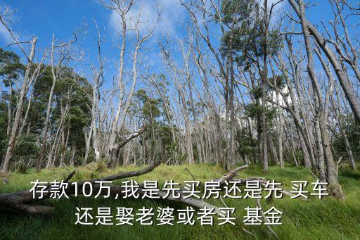 存款10萬(wàn),我是先買(mǎi)房還是先 買(mǎi)車(chē)還是娶老婆或者買(mǎi) 基金