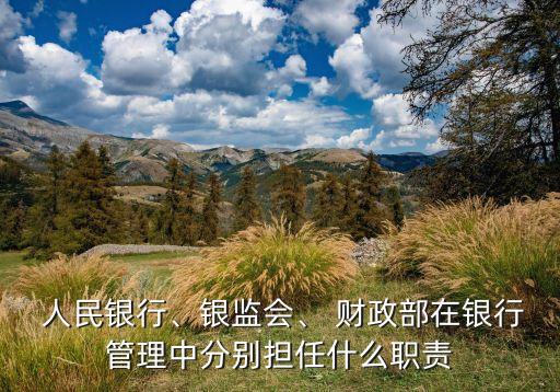  人民銀行、銀監(jiān)會、 財政部在銀行管理中分別擔(dān)任什么職責(zé)
