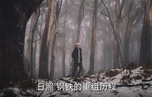 日照鋼鐵控股集團(tuán)有限公司董事長(zhǎng)