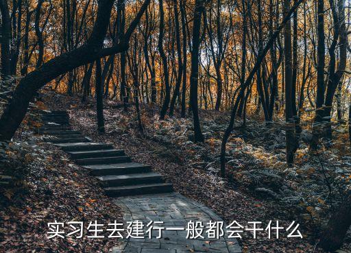 中國建設銀行調(diào)研報告