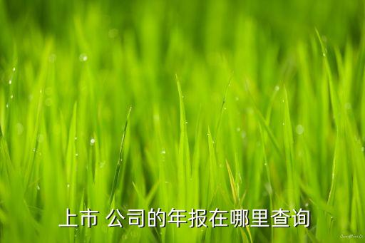  上市 公司的年報(bào)在哪里查詢(xún)