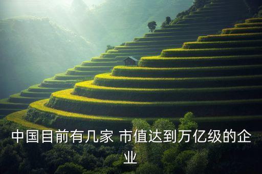 中國目前有幾家 市值達(dá)到萬億級的企業(yè)