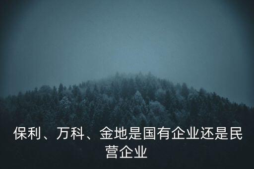  保利、萬科、金地是國有企業(yè)還是民營企業(yè)