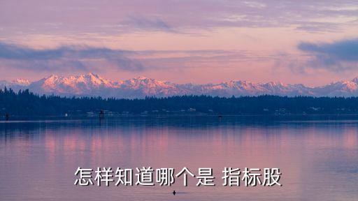 怎樣知道哪個是 指標(biāo)股