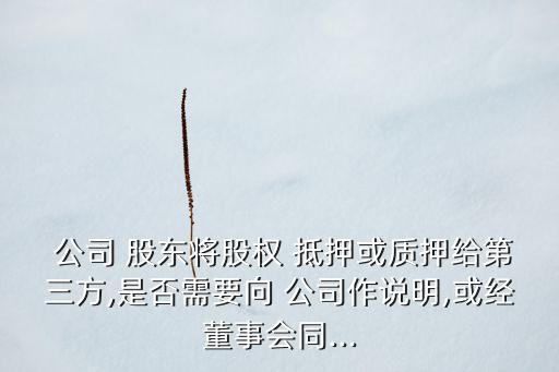  公司 股東將股權 抵押或質押給第三方,是否需要向 公司作說明,或經(jīng)董事會同...