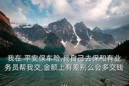 我在 平安保車險,我自己去保和有業(yè)務員幫我交,金額上有差別么會多交錢...