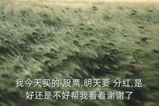 我今天買(mǎi)的 股票,明天要 分紅,是好還是不好幫我看看謝謝了