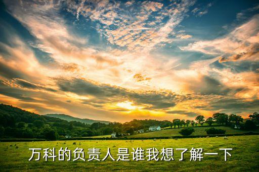  萬(wàn)科的負(fù)責(zé)人是誰(shuí)我想了解一下
