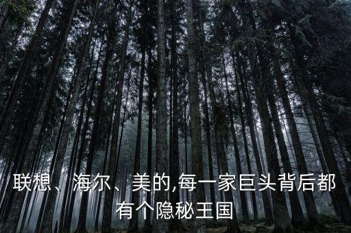 聯(lián)想、海爾、美的,每一家巨頭背后都有個隱秘王國