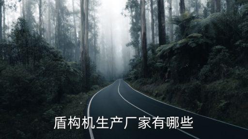 盾構(gòu)機(jī)生產(chǎn)廠(chǎng)家有哪些