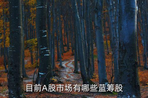 目前A股市場有哪些藍(lán)籌股