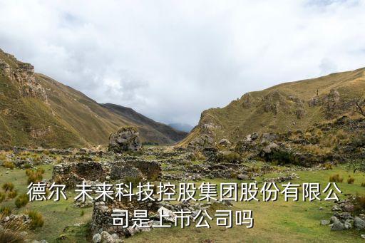 德?tīng)栁磥?lái)投資義騰