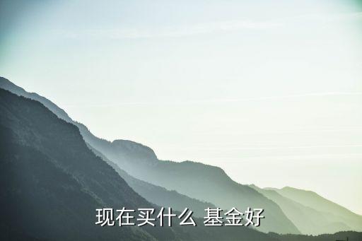 現(xiàn)在買(mǎi)什么 基金好