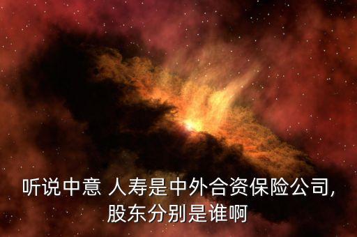 聽(tīng)說(shuō)中意 人壽是中外合資保險(xiǎn)公司,股東分別是誰(shuí)啊