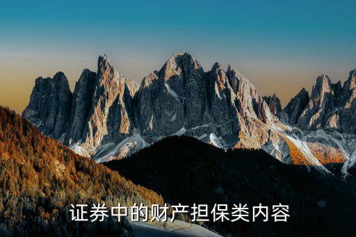  證券中的財(cái)產(chǎn)擔(dān)保類(lèi)內(nèi)容