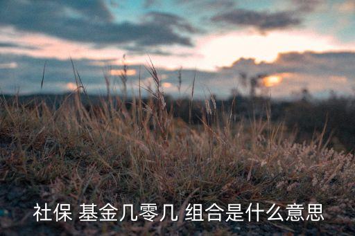 全國社保基金106組合,社?；?06組合牛不牛