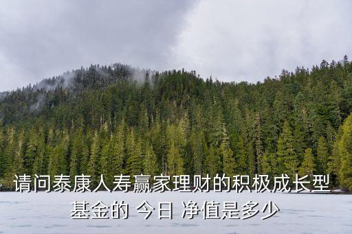 請(qǐng)問泰康人壽贏家理財(cái)?shù)姆e極成長(zhǎng)型 基金的 今日 凈值是多少