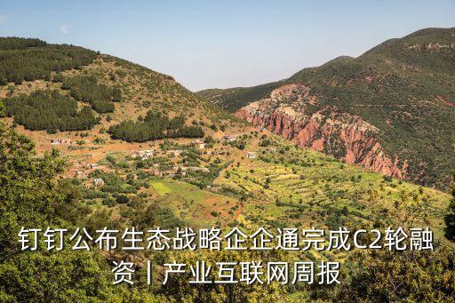 釘釘公布生態(tài)戰(zhàn)略企企通完成C2輪融資丨產業(yè)互聯網周報