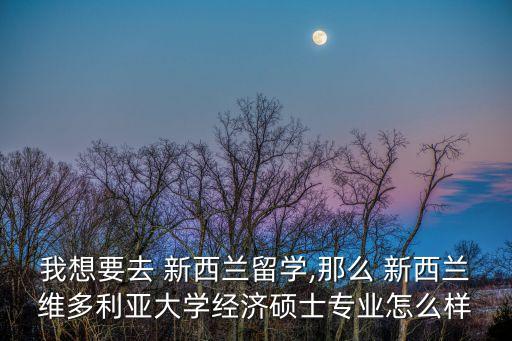 我想要去 新西蘭留學,那么 新西蘭維多利亞大學經濟碩士專業(yè)怎么樣