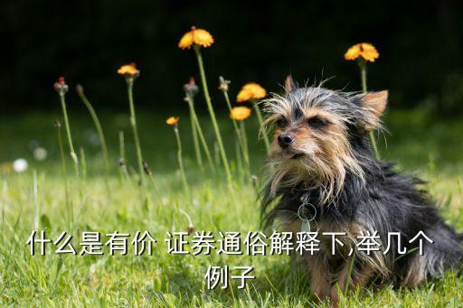 什么是有價(jià) 證券通俗解釋下,舉幾個例子
