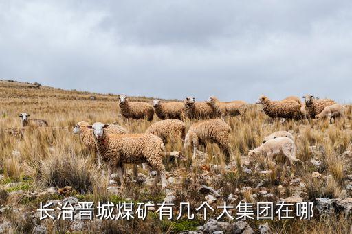 長治晉城煤礦有幾個大集團在哪