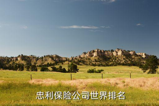  忠利保險(xiǎn)公司世界排名