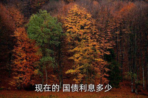北京銀行國(guó)債查詢(xún)