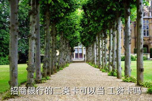 招商銀行的二類(lèi)卡可以當(dāng) 工資卡嗎