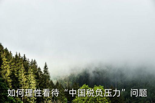 如何理性看待“中國(guó)稅負(fù)壓力”問(wèn)題