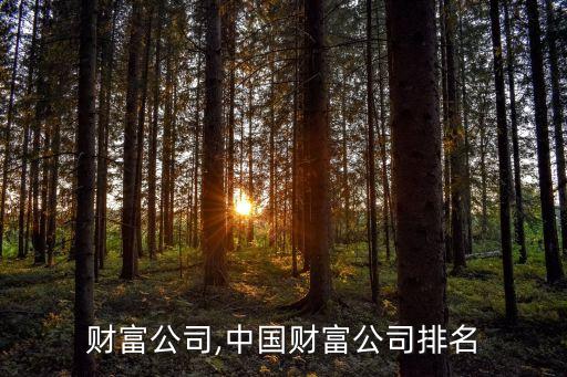 紅點(diǎn)財富公司,中國財富公司排名