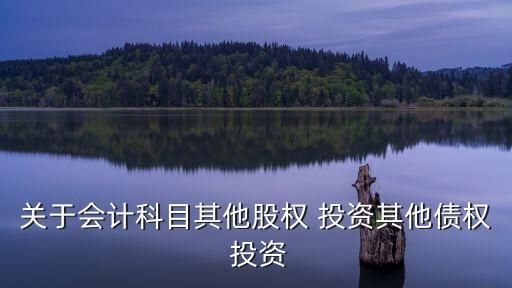 投資出非現(xiàn)金資產的賬面價值,非現(xiàn)金資產的公允價值小于賬面價值
