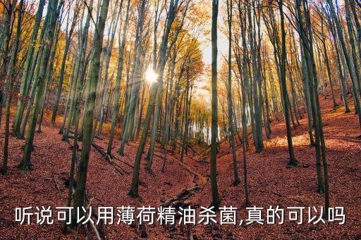 聽說(shuō)可以用薄荷精油殺菌,真的可以嗎