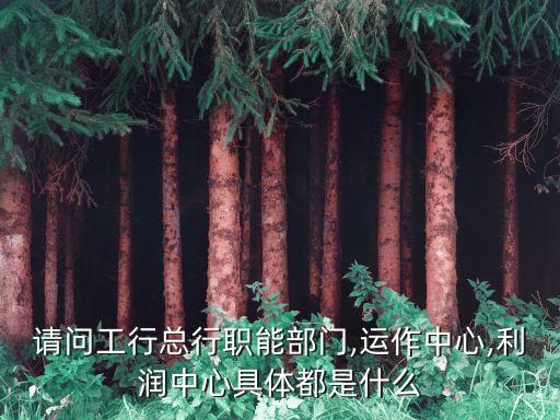 請(qǐng)問(wèn)工行總行職能部門,運(yùn)作中心,利潤(rùn)中心具體都是什么