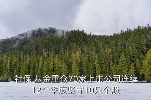  社保 基金重倉70家上市公司連續(xù)12個(gè)季度堅(jiān)守10只個(gè)股
