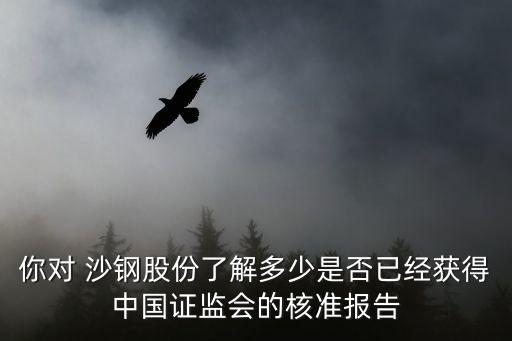 你對 沙鋼股份了解多少是否已經(jīng)獲得中國證監(jiān)會(huì)的核準(zhǔn)報(bào)告