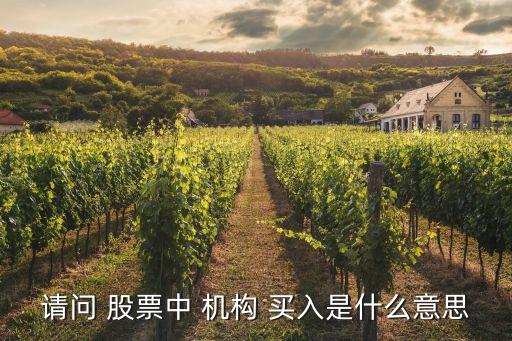 請問 股票中 機(jī)構(gòu) 買入是什么意思