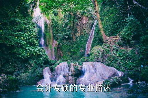 會(huì)計(jì)專(zhuān)碩的專(zhuān)業(yè)描述