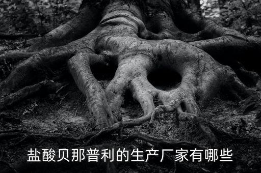 鹽酸貝那普利的生產廠家有哪些