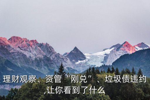 理財觀察、資管“剛兌”、垃圾債違約,讓你看到了什么