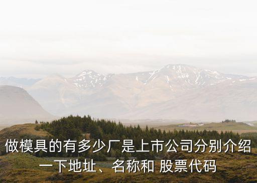 做模具的有多少廠是上市公司分別介紹一下地址、名稱和 股票代碼
