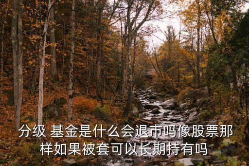 分級基金股價(jià),基金操縱股價(jià)違規(guī)嗎