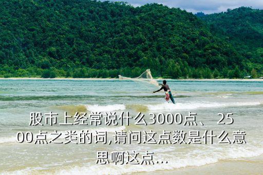 股市上經(jīng)常說(shuō)什么3000點(diǎn)、 2500點(diǎn)之類(lèi)的詞,請(qǐng)問(wèn)這點(diǎn)數(shù)是什么意思啊這點(diǎn)...