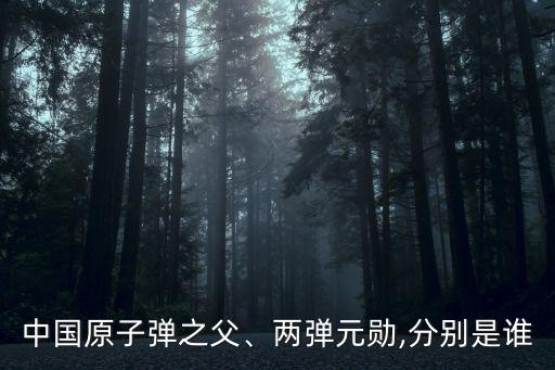 中國原子彈之父、兩彈元?jiǎng)?分別是誰