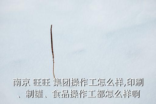 南京 旺旺 集團(tuán)操作工怎么樣,印刷、制罐、食品操作工都怎么樣啊