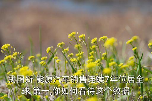 我國(guó)新 能源汽車(chē)銷(xiāo)售連續(xù)7年位居全球 第一,你如何看待這個(gè)數(shù)據(jù)